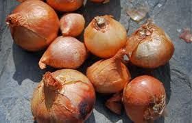 Potato Onions